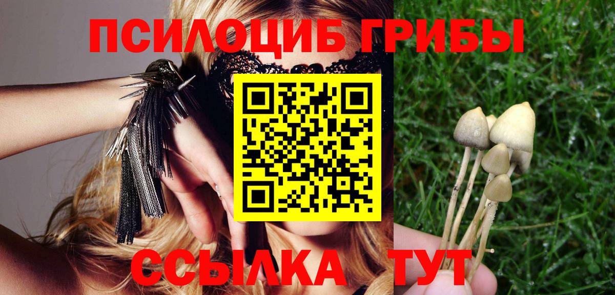 Галлюциногенные грибы ЛСД Домодедово