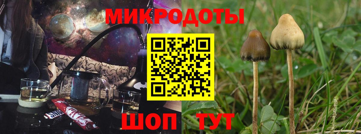 Галлюциногенные грибы MAGIC MUSHROOMS  Вход с VPN  Домодедово 